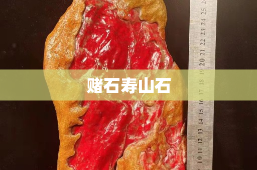 赌石寿山石