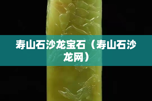 寿山石沙龙宝石（寿山石沙龙网）