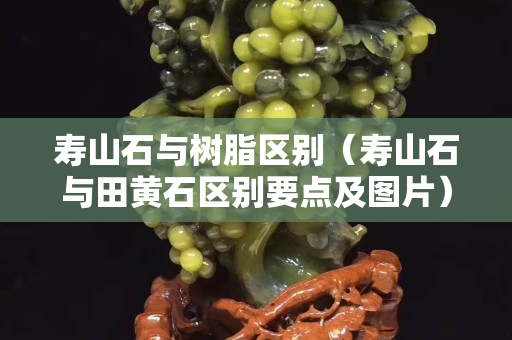 寿山石与树脂区别（寿山石与田黄石区别要点及图片）