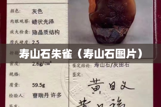 寿山石朱雀（寿山石图片）