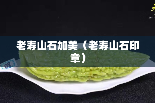 老寿山石加美（老寿山石印章）