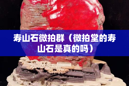 寿山石微拍群（微拍堂的寿山石是真的吗）