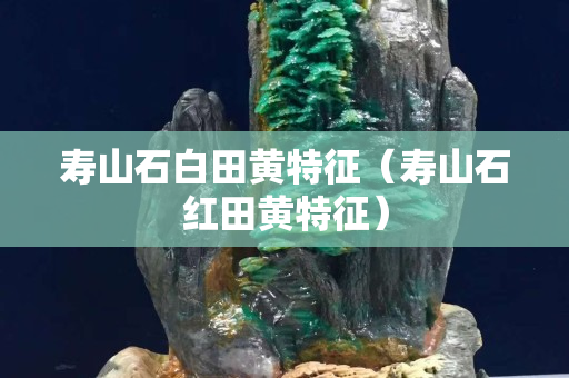 寿山石白田黄特征（寿山石红田黄特征）