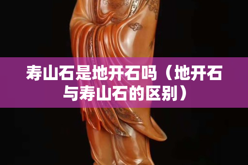寿山石是地开石吗（地开石与寿山石的区别）