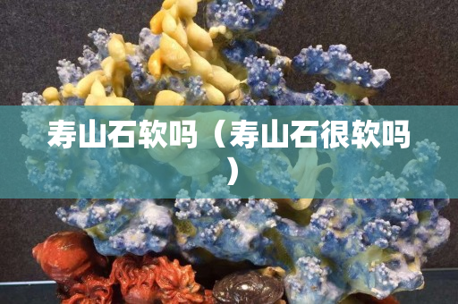 寿山石软吗（寿山石很软吗）
