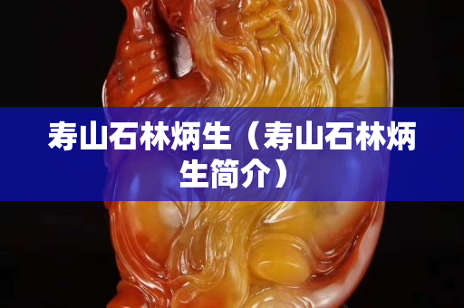 寿山石林炳生（寿山石林炳生简介）