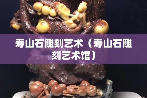 寿山石雕刻艺术（寿山石雕刻艺术馆）