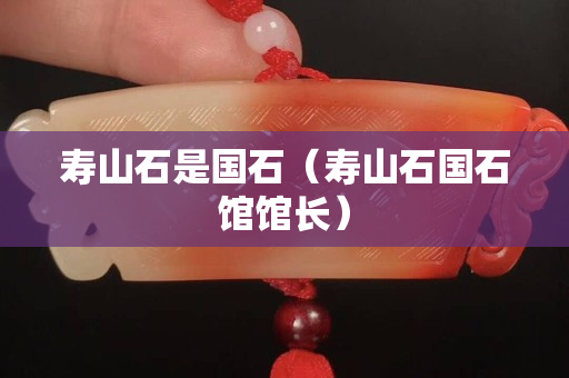 寿山石是国石（寿山石国石馆馆长）