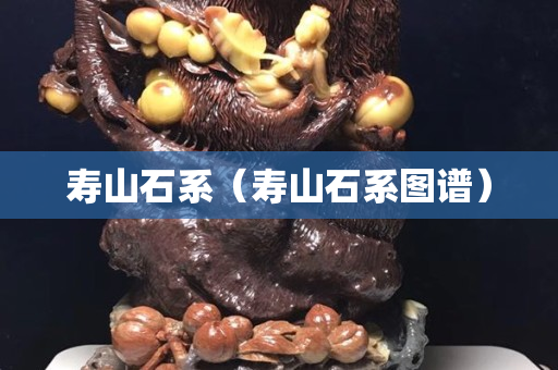 寿山石系（寿山石系图谱）