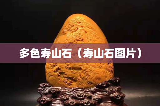 多色寿山石（寿山石图片）