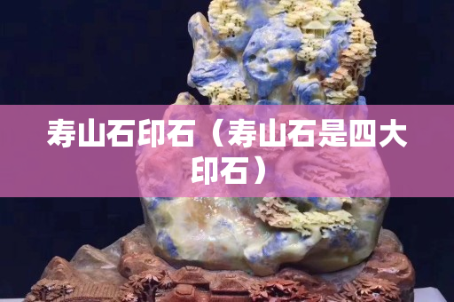 寿山石印石（寿山石是四大印石）
