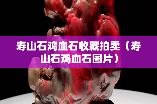 寿山石鸡血石收藏拍卖（寿山石鸡血石图片）