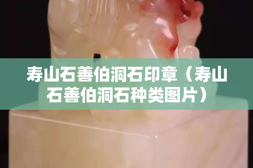 寿山石善伯洞石印章（寿山石善伯洞石种类图片）