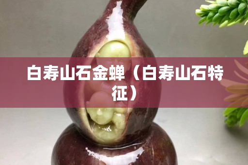 白寿山石金蝉（白寿山石特征）