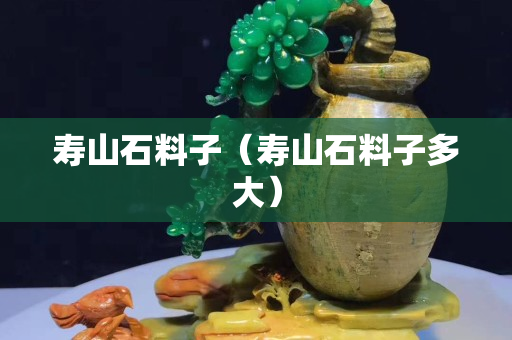 寿山石料子（寿山石料子多大）