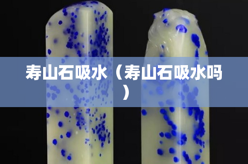 寿山石吸水（寿山石吸水吗）