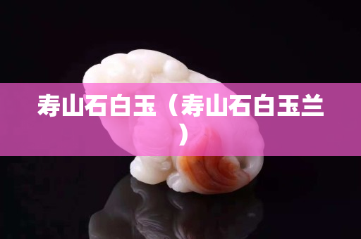 寿山石白玉（寿山石白玉兰）