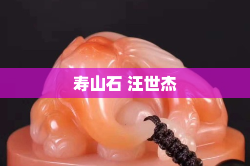 寿山石 汪世杰