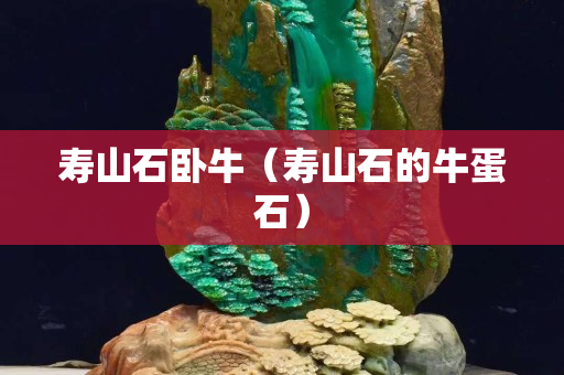 寿山石卧牛（寿山石的牛蛋石）
