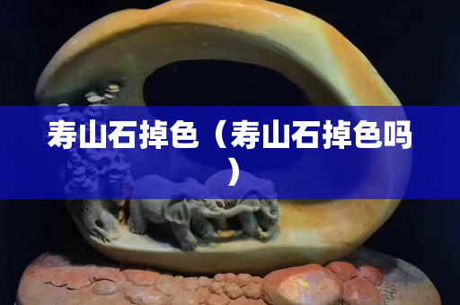 寿山石掉色（寿山石掉色吗）