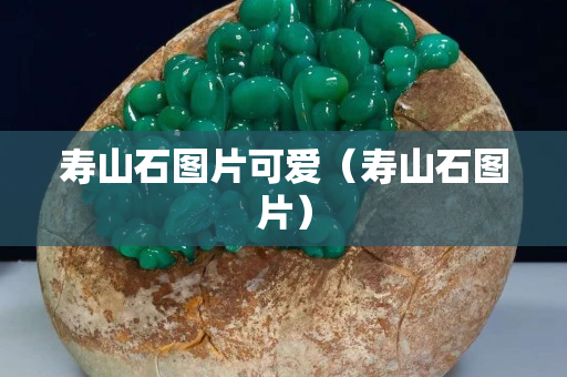 寿山石图片可爱（寿山石图片）