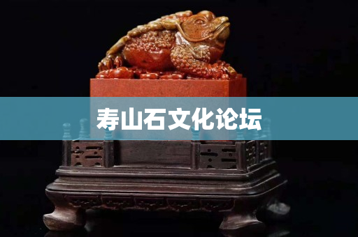 寿山石文化论坛
