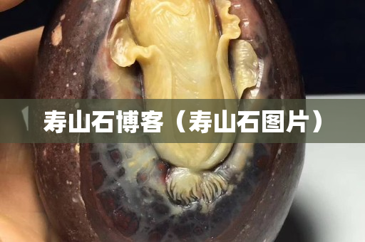 寿山石博客（寿山石图片）