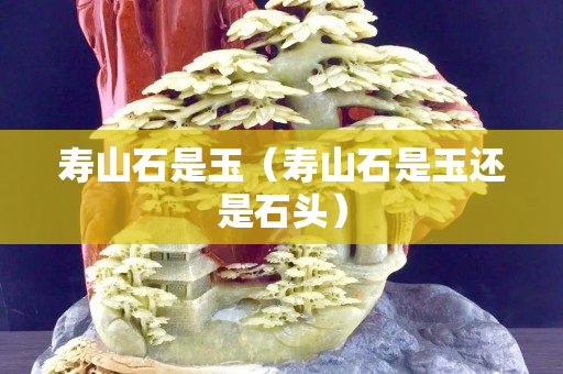 寿山石是玉（寿山石是玉还是石头）