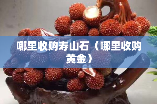 哪里收购寿山石（哪里收购黄金）