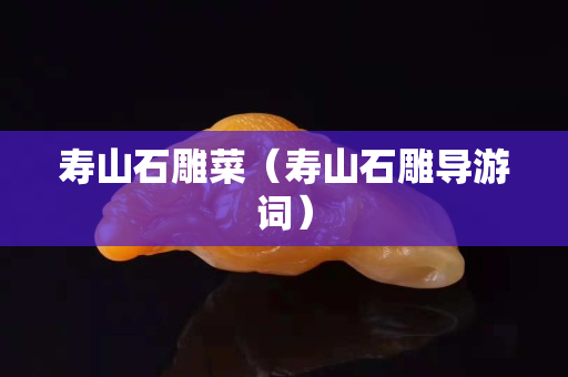 寿山石雕菜（寿山石雕导游词）