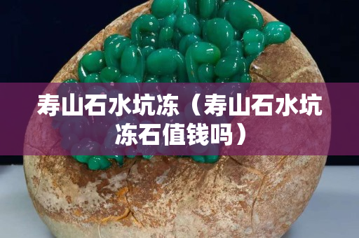 寿山石水坑冻（寿山石水坑冻石值钱吗）
