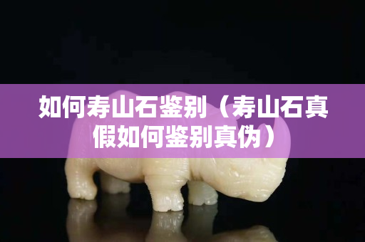 如何寿山石鉴别（寿山石真假如何鉴别真伪）