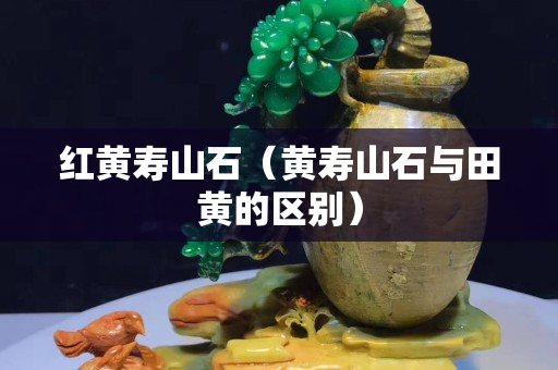 红黄寿山石（黄寿山石与田黄的区别）