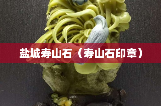 盐城寿山石（寿山石印章）
