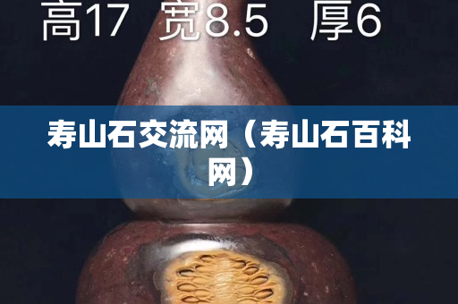 寿山石交流网（寿山石百科网）