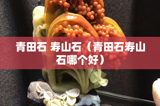 青田石 寿山石（青田石寿山石哪个好）