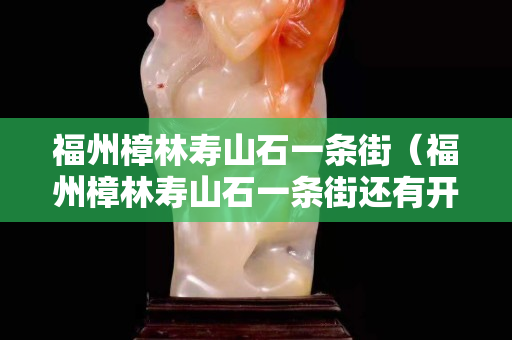 福州樟林寿山石一条街（福州樟林寿山石一条街还有开业吗？）
