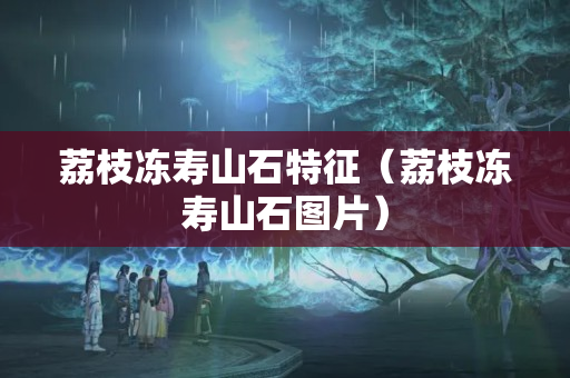 荔枝冻寿山石特征（荔枝冻寿山石图片）