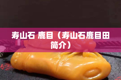 寿山石 鹿目（寿山石鹿目田简介）
