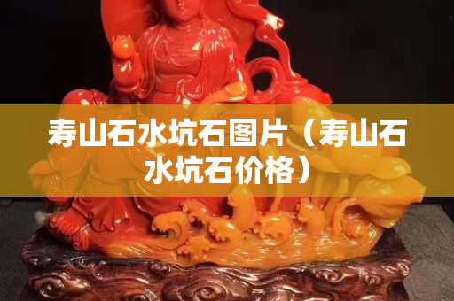寿山石水坑石图片（寿山石水坑石价格）