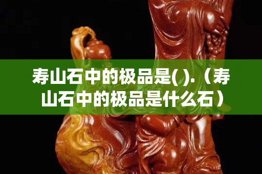 寿山石中的极品是( ).（寿山石中的极品是什么石）