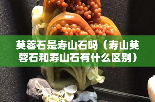 芙蓉石是寿山石吗（寿山芙蓉石和寿山石有什么区别）