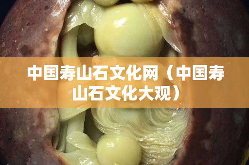 中国寿山石文化网（中国寿山石文化大观）