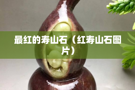 最红的寿山石（红寿山石图片）