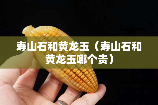 寿山石和黄龙玉（寿山石和黄龙玉哪个贵）
