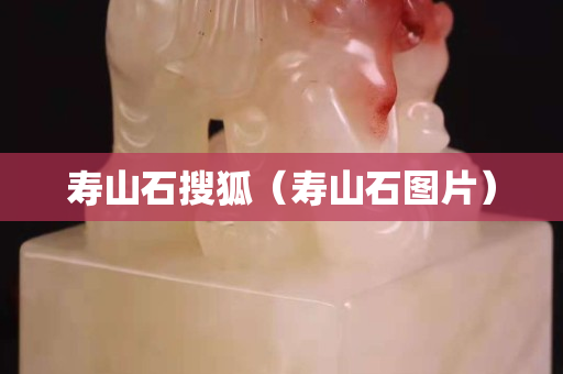 寿山石搜狐（寿山石图片）