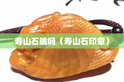 寿山石脆吗（寿山石印章）
