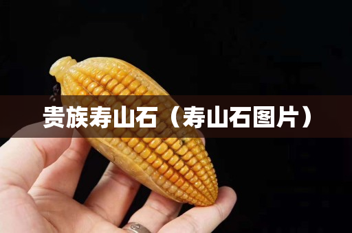 贵族寿山石（寿山石图片）