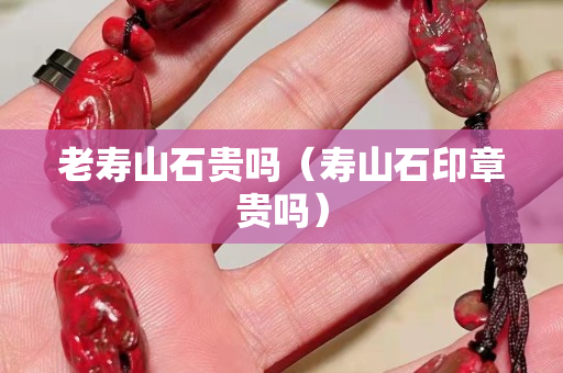 老寿山石贵吗（寿山石印章贵吗）