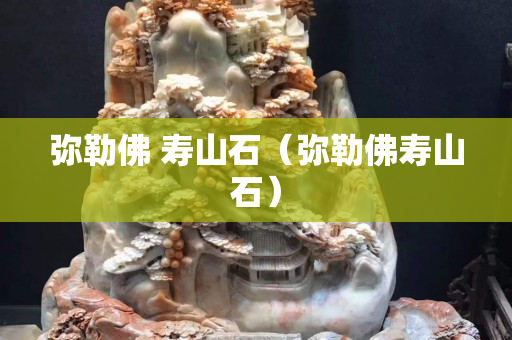 弥勒佛 寿山石（弥勒佛寿山石）